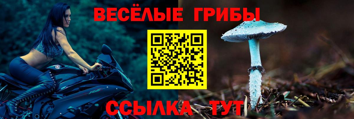 Галлюциногенные грибы мухоморы Анжеро-Судженск